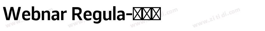 Webnar Regula字体转换